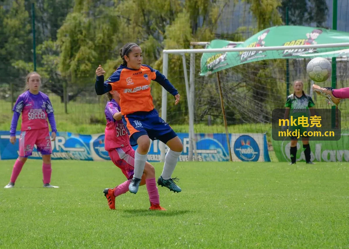 MK电竞数据分析界面